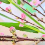 心も頭も体も大洗い