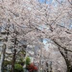 リアルでお会いしてこそ
