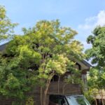 第２回実行委員会開催