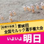 今月はこひつじですよー