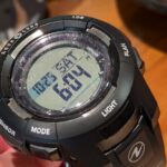 仲間が増えました♡