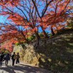 収集、始めます