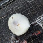 勉強になります